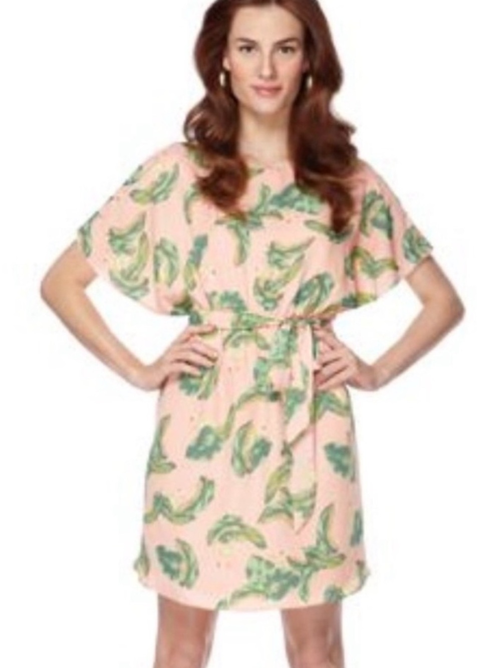 THE WEBSTER At Target Flamingo Print Dress